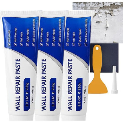 Quick-Dry Wall Repair Paste Kit
