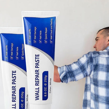 Quick-Dry Wall Repair Paste Kit